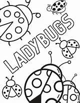 Ladybug Coloring Pages For Adults sketch template
