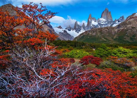 1280x1024 resolution | fall, mountains, forest, Patagonia HD wallpaper | Wallpaper Flare