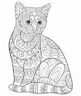 Cat In Details Coloring Page  Free Printable Pages sketch template