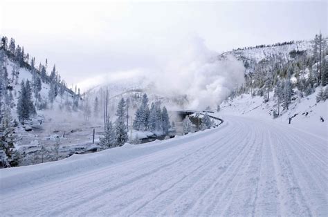 9 Reasons to Visit Yellowstone in Winter