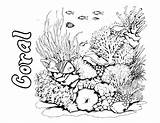 Drawing Underwater Coral Reef Sketch Coloring Page sketch template