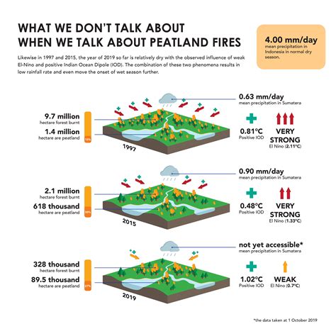 What We Don't Talk About When We Talk About Peatland Fires – Tay Juhana Foundation