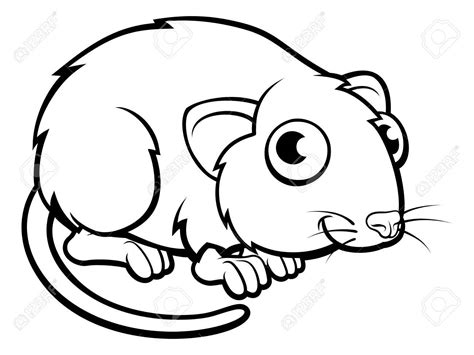 clipart vole 18 free Cliparts | Download images on Clipground 2024