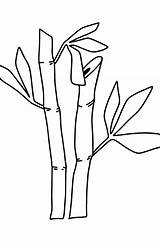 Bamboo coloring page For Kids ♥ Online And Print Free sketch template