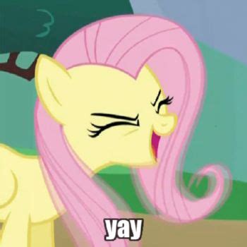 Fluttershy yay | Mlp my little pony, Fluttershy yay, My little pony ...