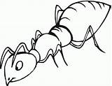Free Printable Ant Coloring Pages For Kids sketch template