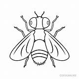 Flies Clipart Black And White At Viireignblog Blog sketch template