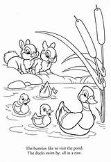Ducks Coloring Pages  For Kids And Adults sketch template