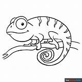 Chameleon Coloring Page  Easy Drawing Guides sketch template
