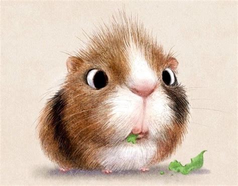 Pin by Carolina Hensley on Animal Cuteness Overload | Cute animal illustration, Animal ...