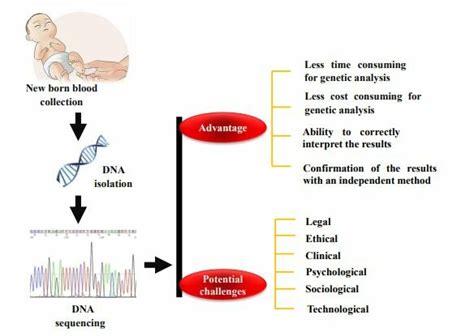 Schematic view of the newborn screening procedure through... | Download Scientific Diagram