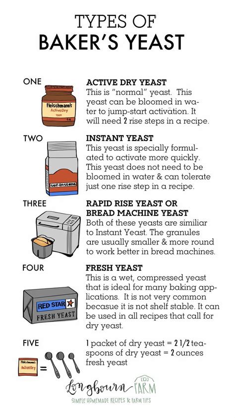 Types of Baker's Yeast | Bakers yeast, Bread maker recipes, Baking ...