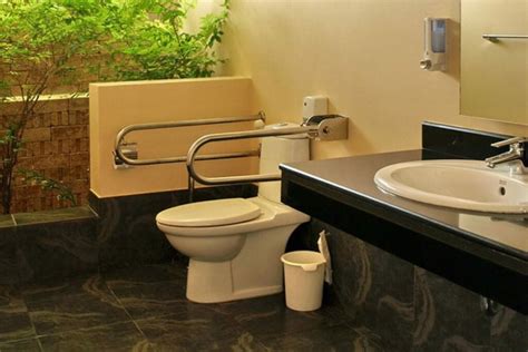 What Is An ADA-Compliant Toilet? | Spruce Toilets