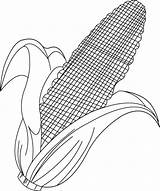Corn Field Coloring Page At GetColoringscom  Free Printable Colorings sketch template