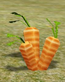 Carrots - A Tale in the Desert