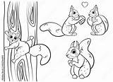 Cute cartoon squirrel Vector coloring Page Outline Squirrel With  sketch template