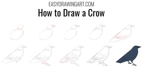 How to Draw a Crow | Bird drawings, Crow painting, Crow