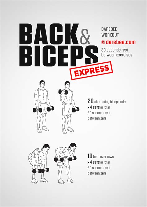 Back & Biceps Express Workout