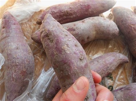 Purple Yam facts and health benefits