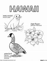 Free Educational Hawaii Coloring Pages For Kids sketch template