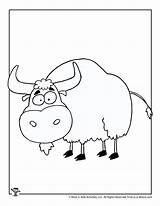 Yak Coloring Pages sketch template