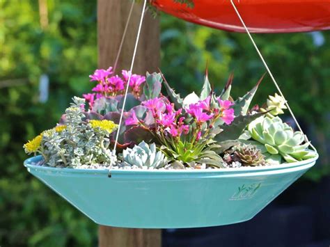 Saucer Style Succulent Hanging Planter | DIY Outdoor Hanging Planter Ideas | Plant Pot Design ...