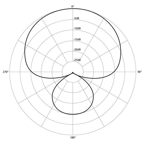 Cardioid vs Supercardioid Mic: The Key Differences Explained