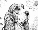 Basset Hound Adult Coloring Sheet AI Generated Page Of A  sketch template