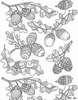 Printable Coloring Acorns Pages sketch template