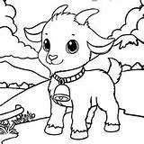 12 Goat Coloring Pages Free Printable PDFs sketch template