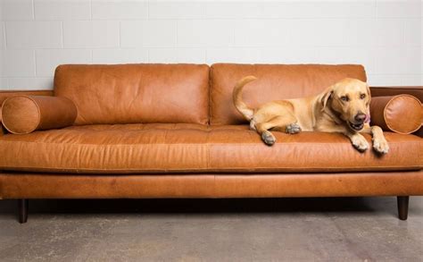 15 Best Collection of Camel Color Leather Sofas