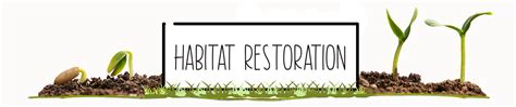 Habitat Restoration - Ranges To Reef