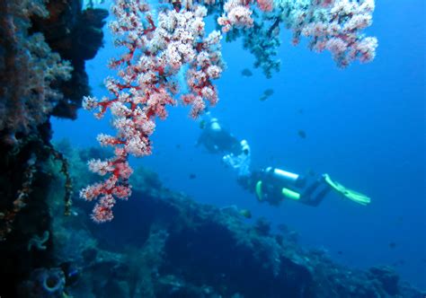 Bali Diving: a first-timer guide - World Adventure Divers