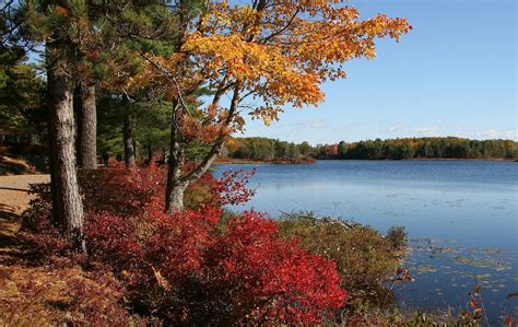 Acadia National Park Wildlife - National Park Photographer