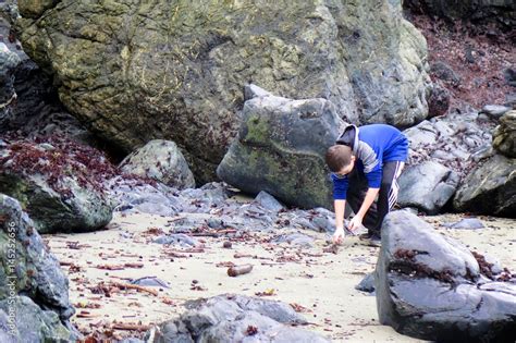 Beachcombing Stock Photo | Adobe Stock