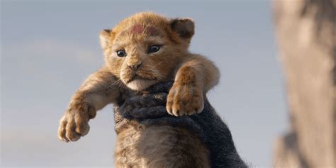 Here's Why We Love Disney's 'The Lion King' Remake | PETA