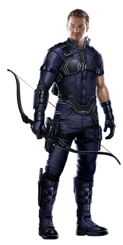 Hawkeye PNG Transparent Images - PNG All