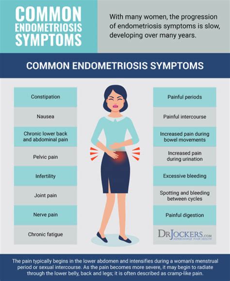 Endometriosis: Symptoms, Causes and Natural Support Strategies