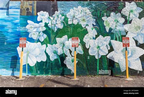 Street Art Philadelphia USA Stock Photo - Alamy