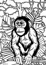 Monkey Timvandevall Procoloring Cliparts Sketch Coloring Page sketch template