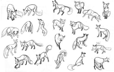 Gesture Drawings Of Animals - Creativeline