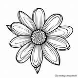 Big Flower Coloring Pages  Free & Printable Worksheets Library sketch template