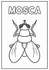 Mosca Colorir Mouche Coloriage Fruta Colorier Dibuixos Dibuix Moscas  sketch template