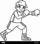 Boxing Boxer Punching Isolated Coloring Page Stock Vector Image & Art  sketch template