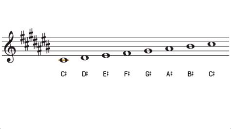 C Sharp Major Scale and Key Signature The Key of C# Major Accordi - Chordify