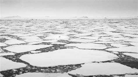 Antarctica - Polar Circle - Whale Watching » Wayfinders