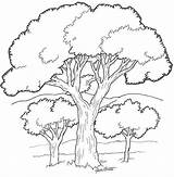 Tree Coloring Page For Kids sketch template