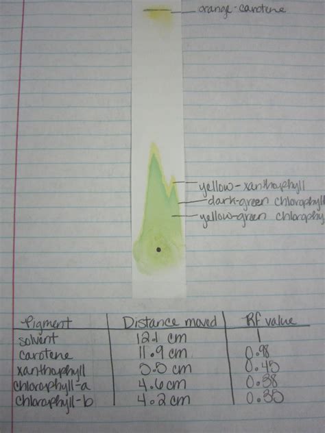 Chromatography Lab Results