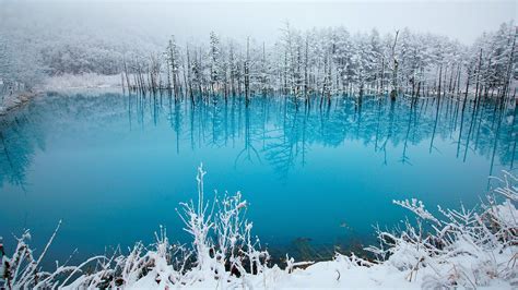 Download Wallpaper 1920x1080 Japan, Hokkaido, blue pond, trees, snow, winter Full HD Background