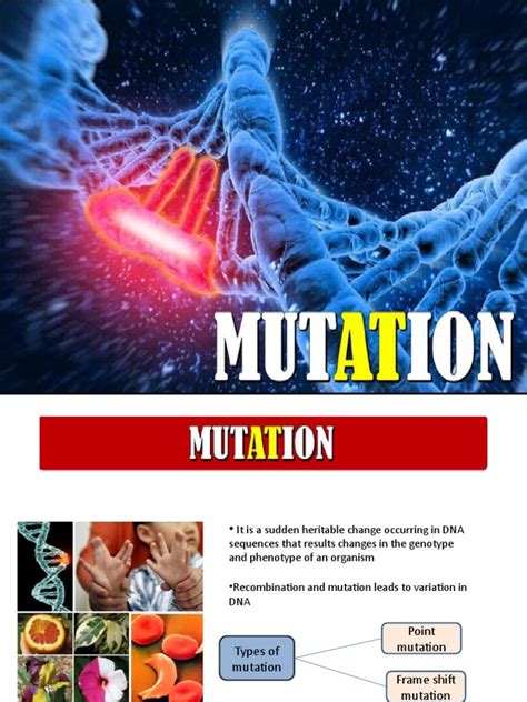 Aryan | PDF | Dominance (Genetics) | Mutation